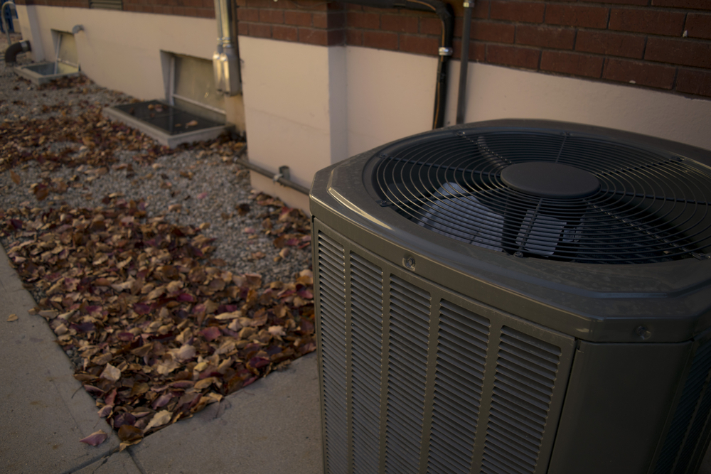 Leaves near an air conditioner condenser unit